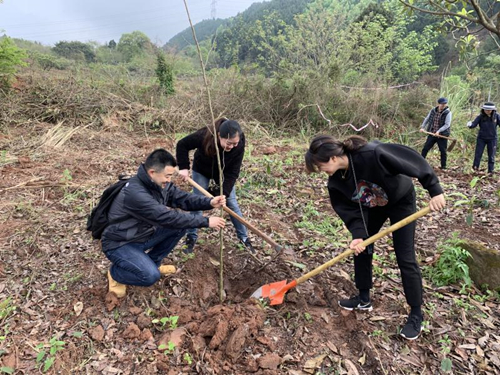 雷竞技raybet官网入口(中国游)官方网站